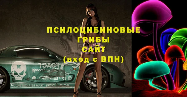 дурь Верея
