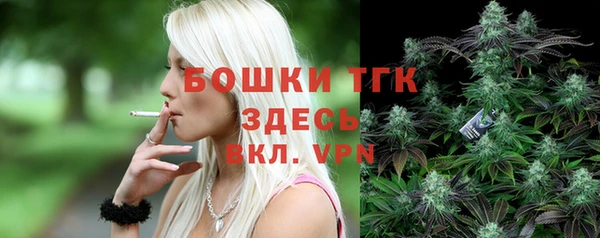 хмурый Верхний Тагил