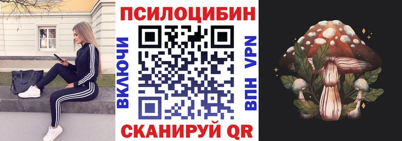 Купить закладки  Гаврилов Посад  Галлюциногенные грибы мицелий 