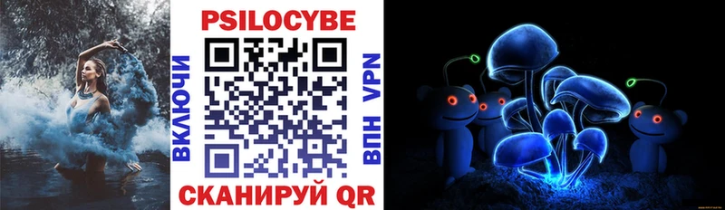 Псилоцибиновые грибы Cubensis Гаврилов Посад